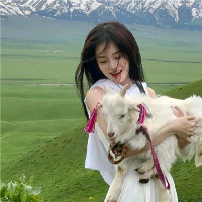 大小姐搜查网
